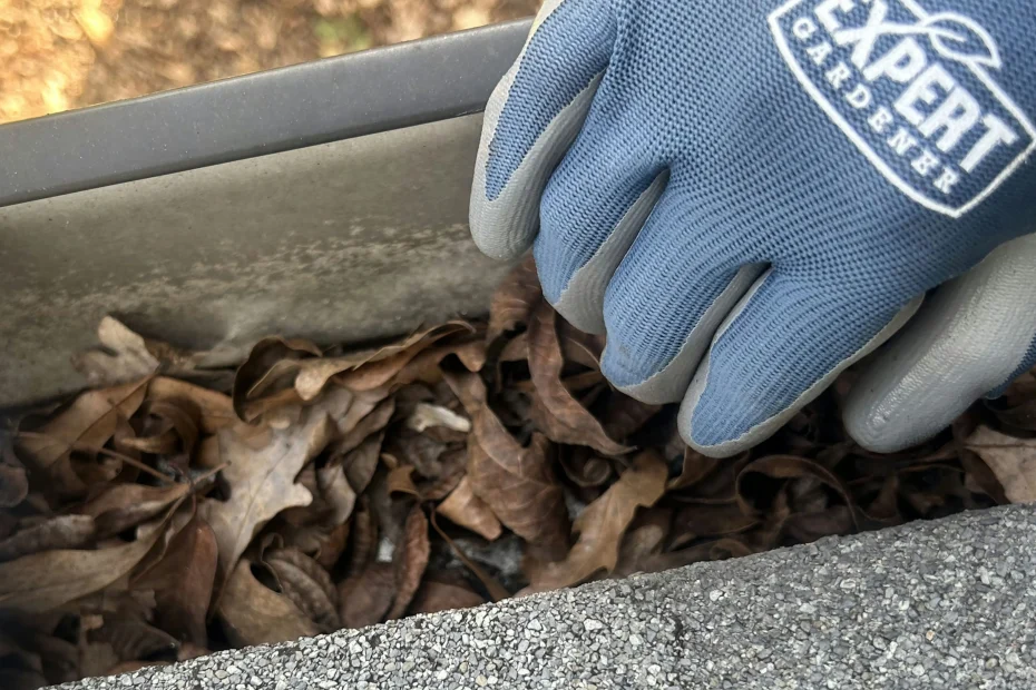 Gutter Cleaning Gardendale